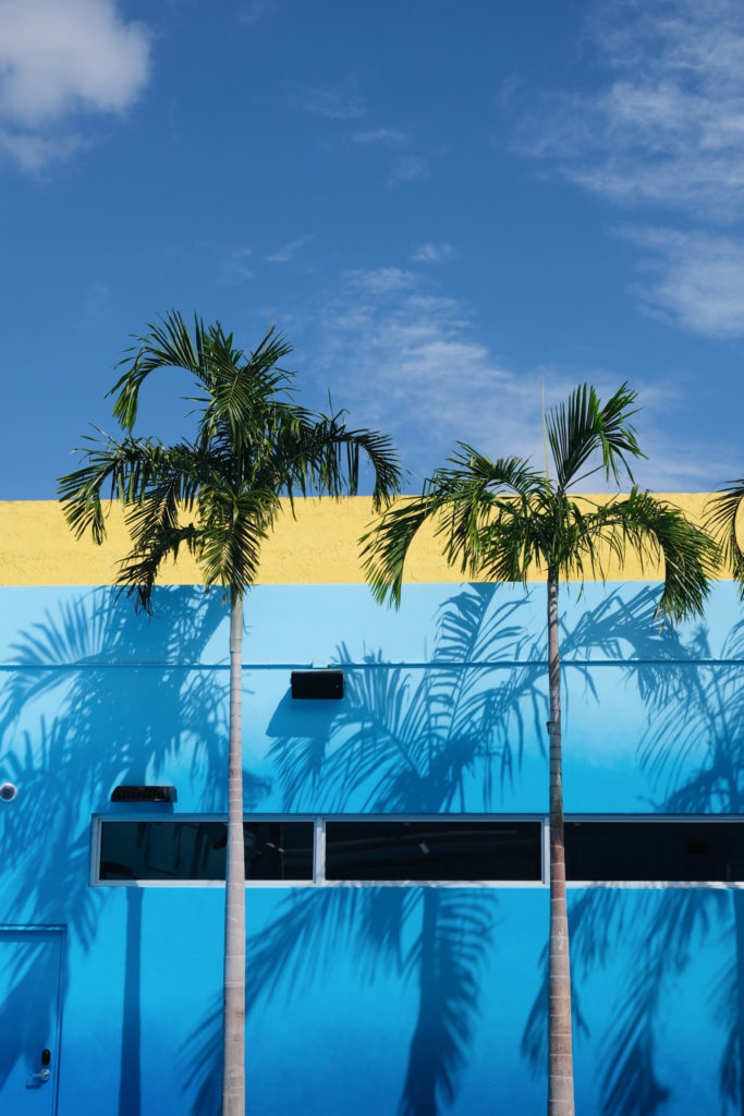 Cancha basket Wyndwood