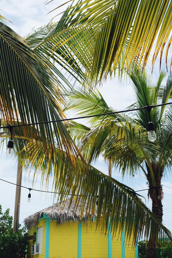 Bar para comer en Providenciales, Islas Turcas y Caicos