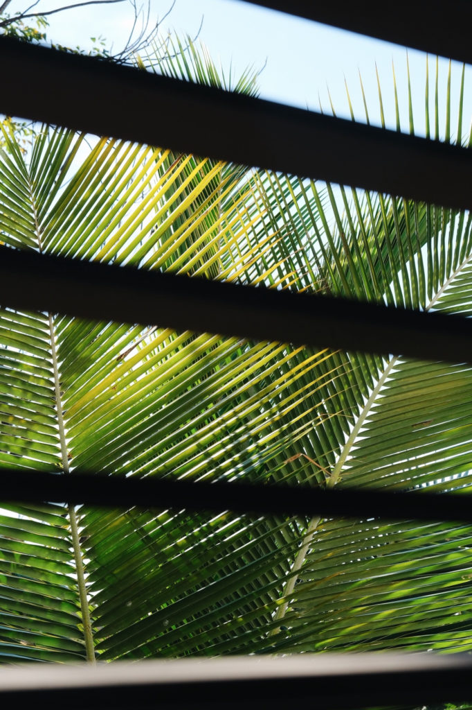 Dónde dormir Providenciales