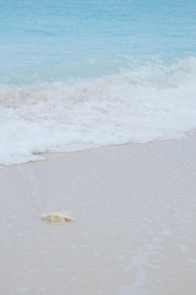 Playa y mar en Providenciales, Islas Turcas y Caicos