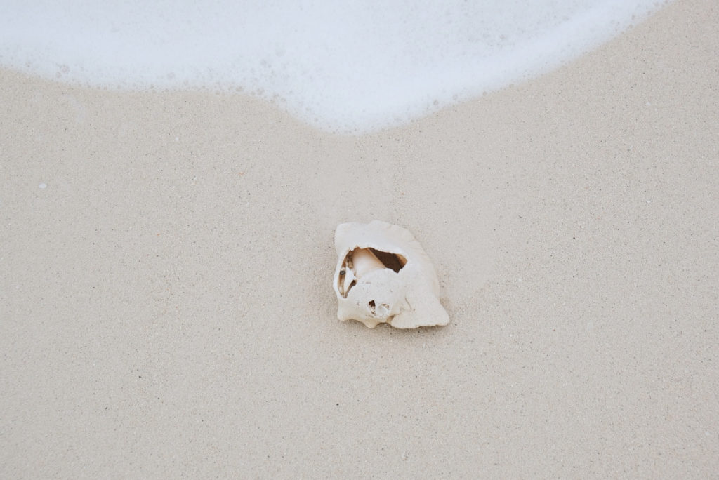 Mejores playas de providenciales